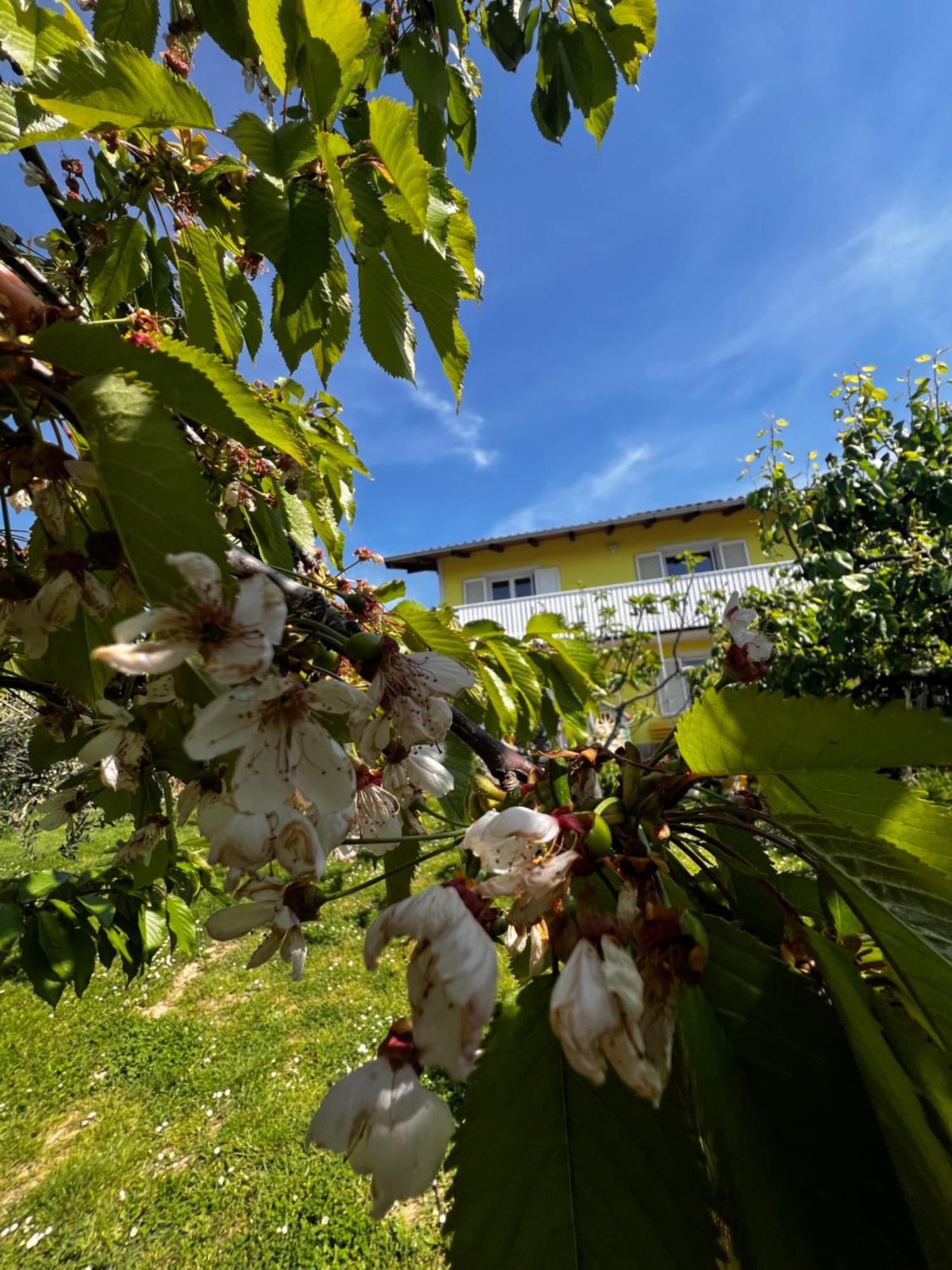 Na Kmetiji S Konji - Pogelsek Apartamento Ankaran Exterior foto